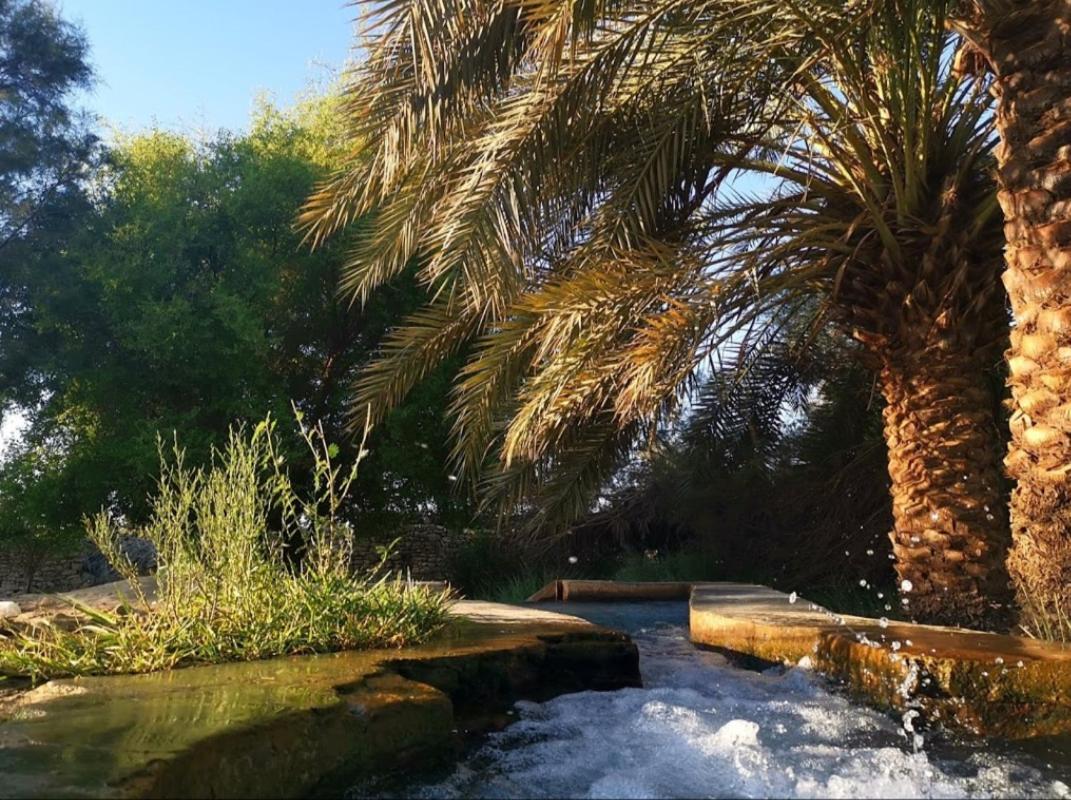 Ahmed Safari Camp Hotel Bawiti Exterior photo
